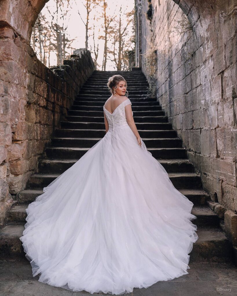 top 5- princess wedding dresses : victoria elaine bridal