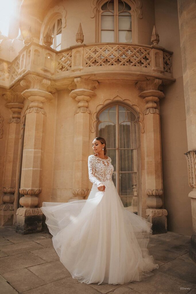 Enchanting Ball Gown, Wedding Dress, Royal, Fairy Tale, Long Sleeve, Big  Skirt – Marelli Exclusive