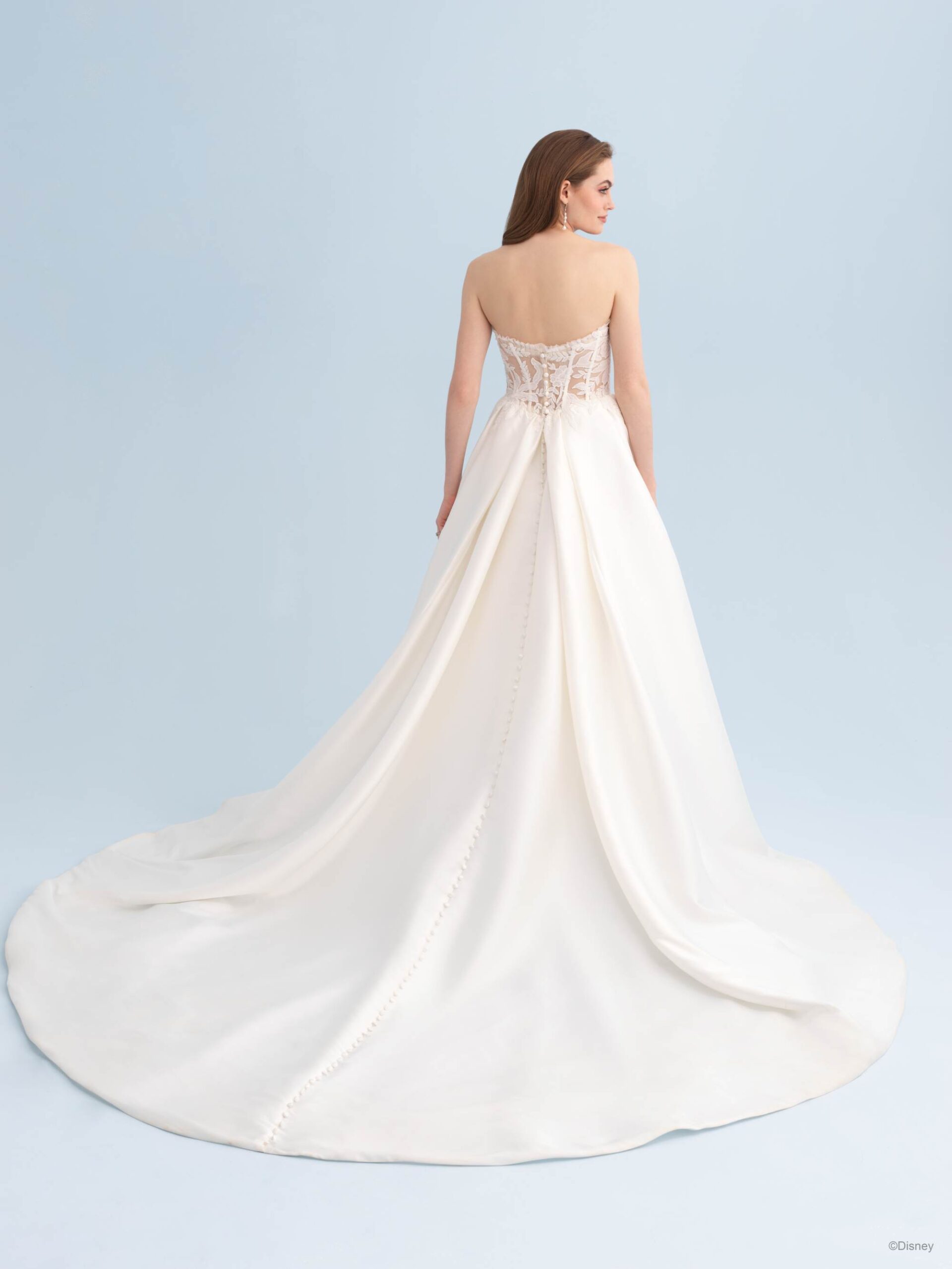 ballgown wedding dress, basque waist, wedding dress with lace, disney princess
