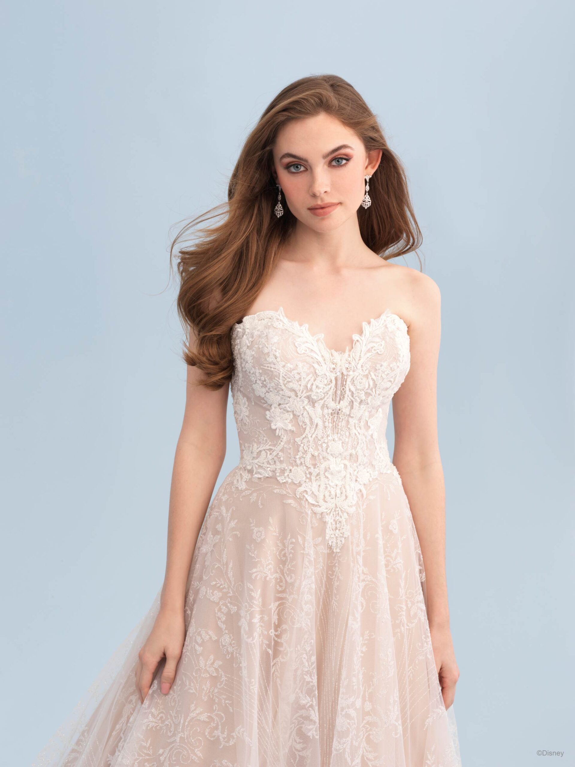 cinderella dress, cinderella wedding dress, strapless wedding dress, princess dress, princess bride