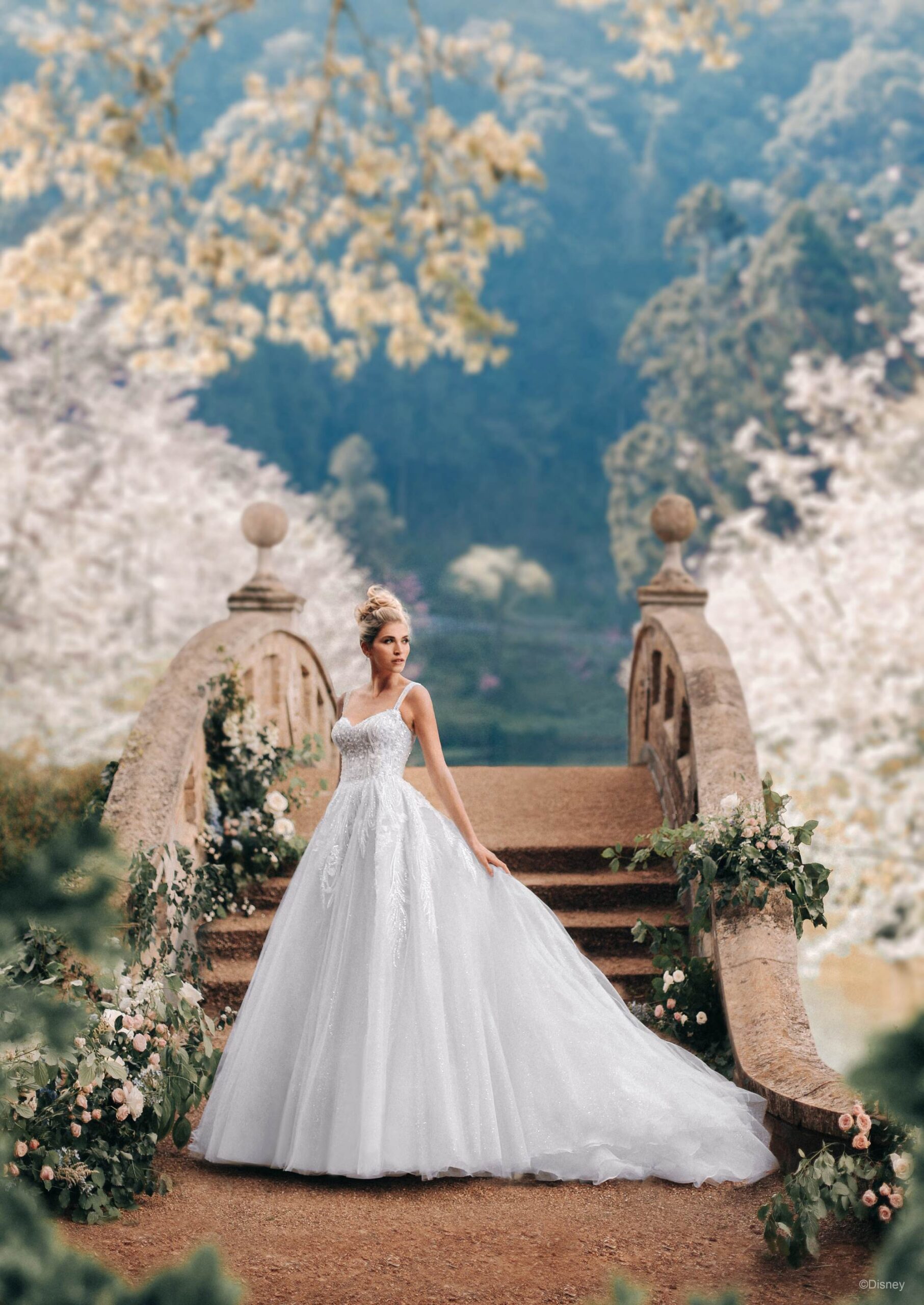 cinderella wedding dress, cinderella wedding, princess dress, blue wedding dress